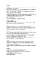 Konspekts 'Senā Ēģipte', 1.