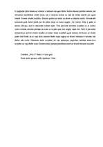 Eseja 'Video scenārijs', 2.