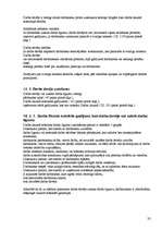 Prakses atskaite 'Prakses atskaite', 32.