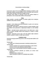 Paraugs 'Muitas darbība', 1.