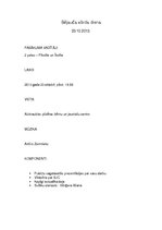 Paraugs 'Bērnu jauniešu centra vārda dienas scenārijs', 1.