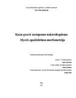 Referāts 'Kazu gravā sastopamo naktssikspārņu Myotis apakšdelmu morfometrija', 1.