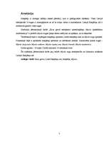 Referāts 'Kazu gravā sastopamo naktssikspārņu Myotis apakšdelmu morfometrija', 3.