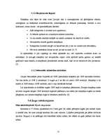 Referāts 'Kazu gravā sastopamo naktssikspārņu Myotis apakšdelmu morfometrija', 10.