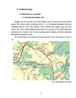 Referāts 'Kazu gravā sastopamo naktssikspārņu Myotis apakšdelmu morfometrija', 13.