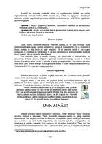 Referāts 'Mūsdienu monitoru veidi un to izmantošana', 10.