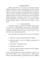 Referāts 'Līzinga darījumu analīze Latvijā', 5.