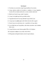 Referāts 'Līzinga darījumu analīze Latvijā', 20.