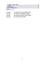 Biznesa plāns 'Biznesa plāns restorānam', 3.