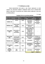 Biznesa plāns 'Biznesa plāns restorānam', 26.