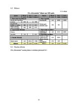 Biznesa plāns 'Biznesa plāns restorānam', 28.