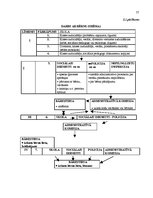 Diplomdarbs 'Policijas darba ar bērniem - likumpārkāpējiem tiesiskais regulējums', 73.