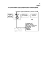 Diplomdarbs 'Policijas darba ar bērniem - likumpārkāpējiem tiesiskais regulējums', 74.