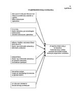 Diplomdarbs 'Policijas darba ar bērniem - likumpārkāpējiem tiesiskais regulējums', 75.