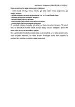 Konspekts 'Uzņēmumu darbības pamatstratēģijas', 6.