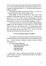 Referāts 'Zemnieku saimniecība "Pilslejas"', 20.