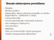 Prezentācija 'Tērauda konstrukciju pastiprināšana', 7.