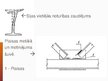 Prezentācija 'Tērauda konstrukciju pastiprināšana', 22.