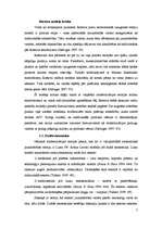 Referāts 'Modernizācijas teorija', 5.