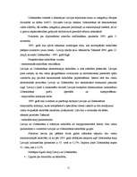 Referāts 'NVS valstu ekonomiskās integrācijas panākumi un problēmas', 12.