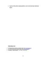 Referāts 'NVS valstu ekonomiskās integrācijas panākumi un problēmas', 14.