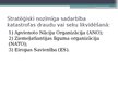 Prezentācija 'Katastrofas Latvijā un to seku likvidēšana', 17.