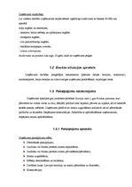 Biznesa plāns 'Jauna pārvākšanās servisa uzņēmuma izveide', 6.