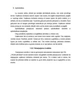 Biznesa plāns 'Jauna pārvākšanās servisa uzņēmuma izveide', 7.