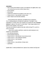 Biznesa plāns 'Jauna pārvākšanās servisa uzņēmuma izveide', 9.