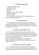 Biznesa plāns 'Jauna pārvākšanās servisa uzņēmuma izveide', 11.