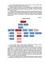 Referāts 'Konfliktsituācija uzņēmumā', 2.