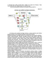Referāts 'Konfliktsituācija uzņēmumā', 4.
