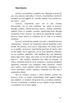 Referāts 'Dzimumu nevienlīdzība', 32.