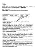 Konspekts 'Eksāmena atbildes kursā "politoloģija"', 3.