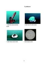 Referāts 'Kristālu pasaule un to audzēšana', 21.