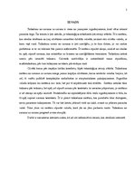 Konspekts 'Tulkošana no sarunas uz sarunu', 3.