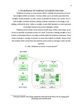 Konspekts 'Tulkošana no sarunas uz sarunu', 6.