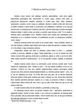 Referāts 'Televīzijas reklāmu ietekme uz pusaudžiem', 10.