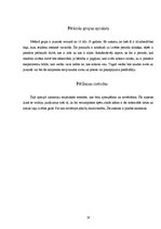 Referāts 'Televīzijas reklāmu ietekme uz pusaudžiem', 19.