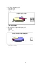 Referāts 'Televīzijas reklāmu ietekme uz pusaudžiem', 24.
