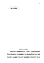 Referāts 'Ceļojums uz Kanādu', 11.