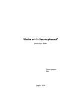 Eseja 'Darba novērtēšana uzņēmumā', 1.