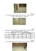 Referāts 'Varš un apkārtējā vide', 37.