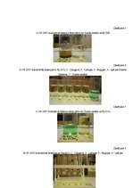 Referāts 'Varš un apkārtējā vide', 38.