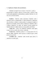 Referāts 'LSEZ "Lauma Fabrics" SIA finanšu vadība', 6.