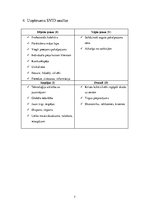 Referāts 'LSEZ "Lauma Fabrics" SIA finanšu vadība', 7.