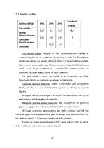 Referāts 'LSEZ "Lauma Fabrics" SIA finanšu vadība', 13.