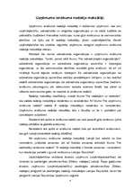 Referāts 'Uzņēmuma ienākuma nodokļa raksturojums', 4.