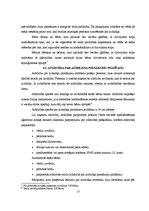 Referāts 'Aizbildniecība', 17.
