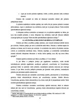 Referāts 'Aizbildniecība', 19.